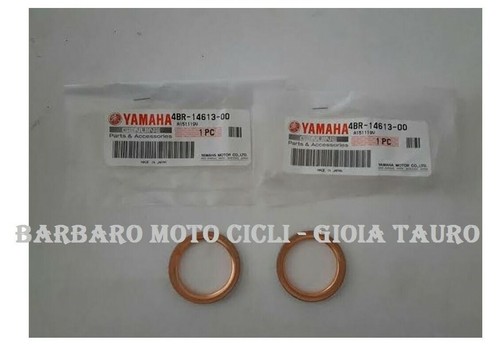 Coppia guarnizioni scarico - guarnizioni,