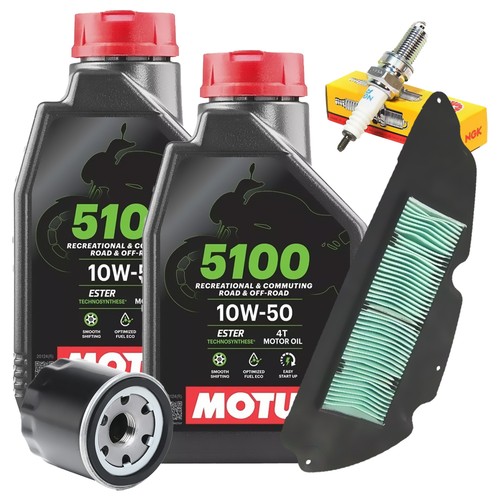 Kit tagliando 300 - olio, x2