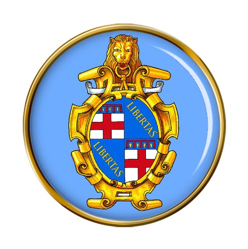 Distintivo spilla bologna - spilla,
