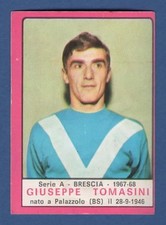 Figurina calciatori panini - figurina,