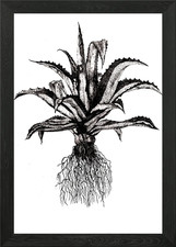 Poster arte da parete con