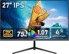Monitor per Computer IPS Da 27