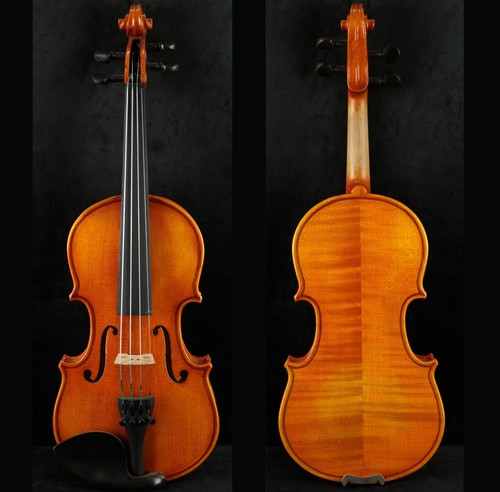 Incredibile violino fatto - , a