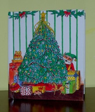 Al Polo Nord con Babbo Natale • Davide Valentini,Valarie Webb •Create-A-Book