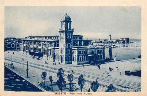 Trieste pescheria nuova - trieste,