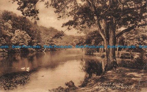 R105396 trout lake waggoners - r105396,