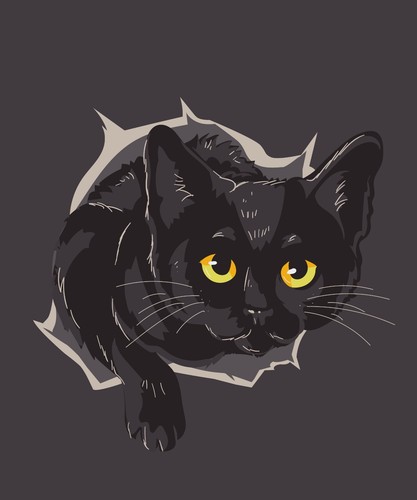 Adesivi auto sticker - auto, gatti