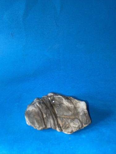 Pietra naturale suiseki