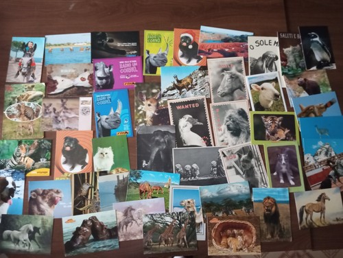 Lotto cartoline animali - 45,