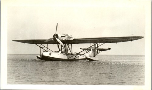 Cant 501 gabbiano foto - cant, aereo