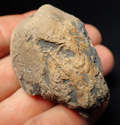 Jurassic ichthyosaur coprolite