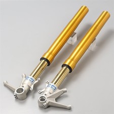 Sospensione forcella anteriore