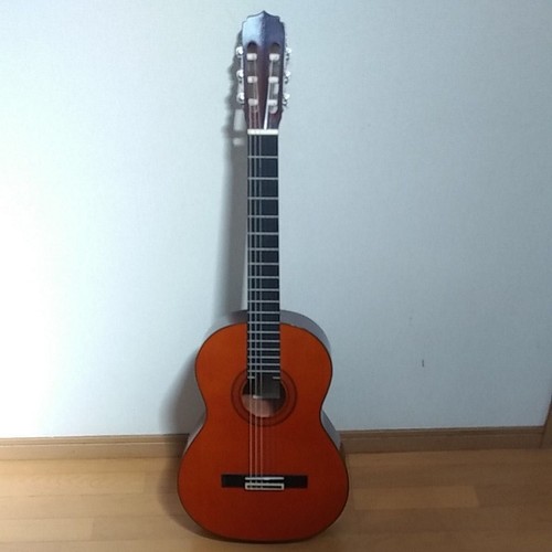 Vendita weekend chitarra