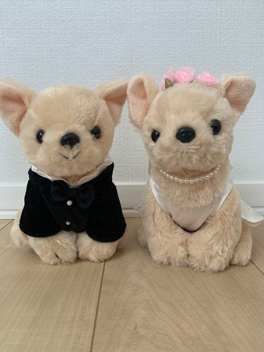Peluche bambola coppia