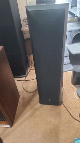 Rare pair acoustic - rare,