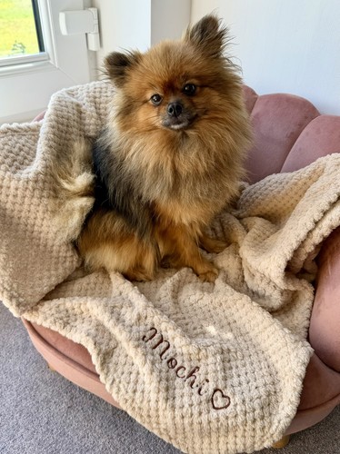 Coperta personalizzata - coperta,