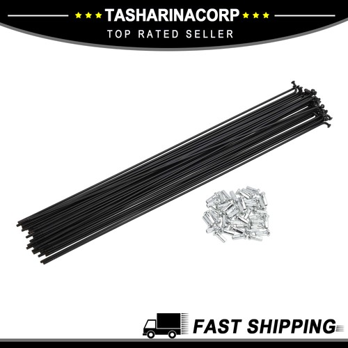 Set raggi bici 14g 293mm - 38,