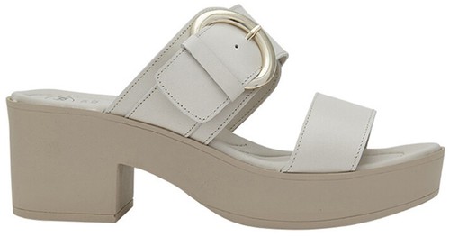 Scholl tessa memory - dr,