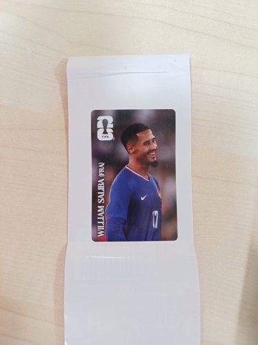 Panini fifa world - cup, 2026