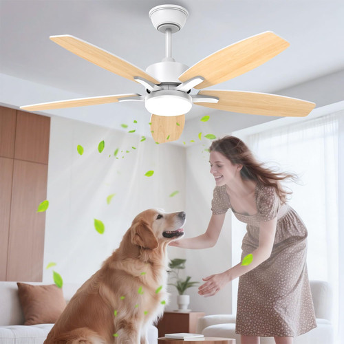 106cm silenzioso ventilatore - 106cm,