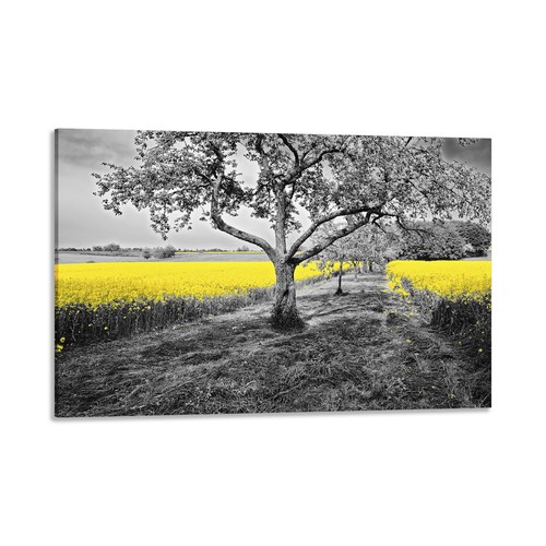 Quadro stampa tela con - stampa,
