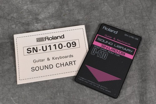 Roland u110 chitarra e - roland,