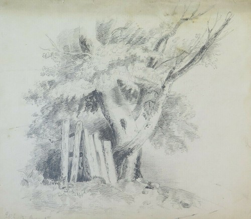 Disegno antico matita - su, carta