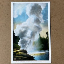 Cartolina Yellowstone Park