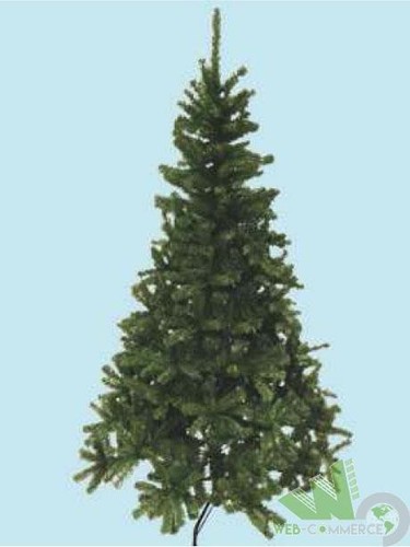 Albero natale abete verde - albero,