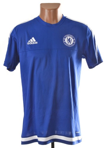 Chelsea 2015 2016 - chelsea, training