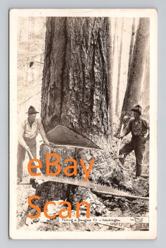 Washington rppc felling - washington,
