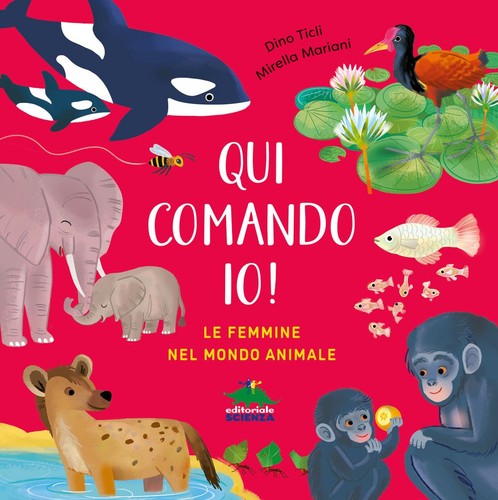 Libri dino ticli qui - libri,