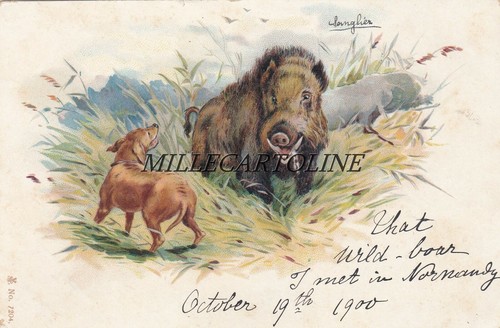 Animali cinghiale cane 2 - animali:, e