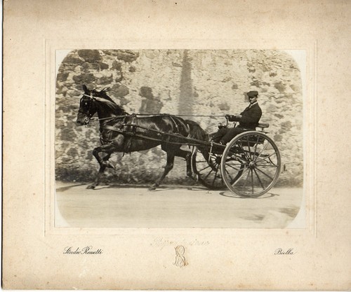 Cavallo con calesse foto