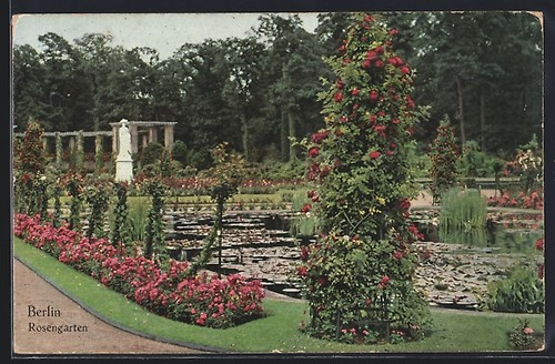 Cartolina berlino tiergarten - cartolina, berlino-tiergarten
