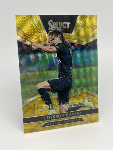 2016 panini seleziona - 2016-17,