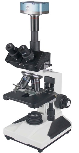 Radical 2000x clinica - 2000x,