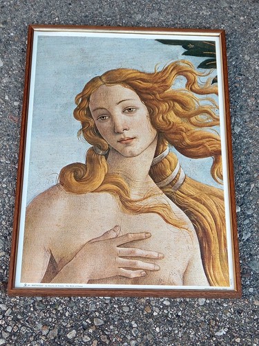 Lotto botticelli primavera - lotto,