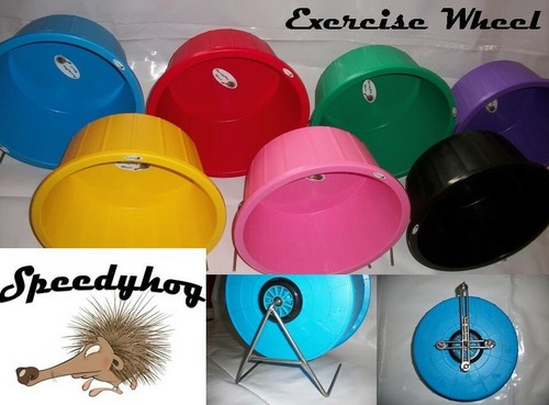 Speedyhog ruota per esercizi - ruota,