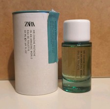 Zara Mr. Chache In An Amazing