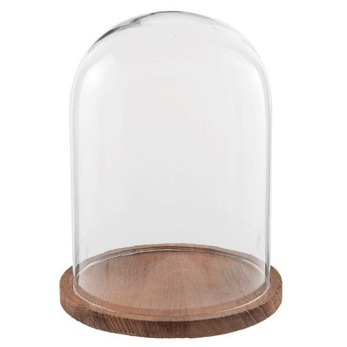 Espositore vetro cloche - espositore,
