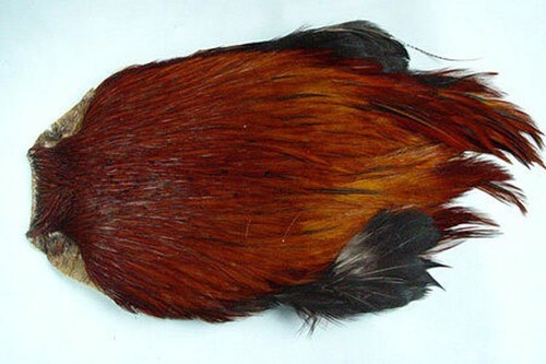 Collo gallo indiano marrone - collo,