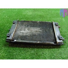 Radiatore acqua Adiva AD 200 2008 2014