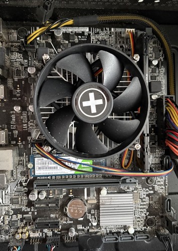 Scheda madre asus prime - scheda,