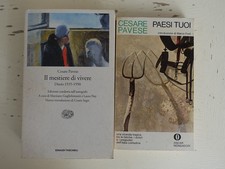Il mestiere di vivere. Diario