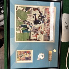 Foto incorniciata Dan Marino