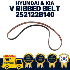 Cinghia a coste ORIGINALE OEM