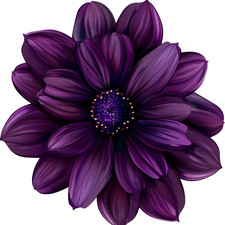 Adesivo murale adesivo viola