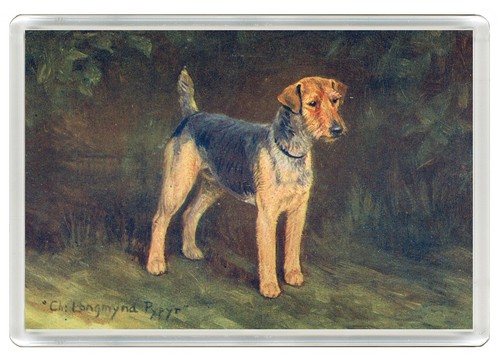 Welsh terrier dog fridge - terrier,