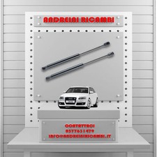 2 MOLLE A GAS BAGAGLIAIO AUDI